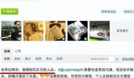 刘小娟爆料截图视频播放,揭秘事件背后真相